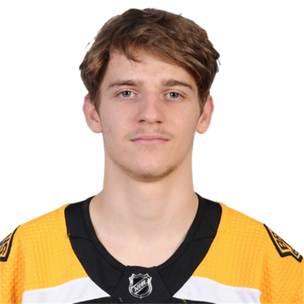 NHL Players Players of the National Hockey League