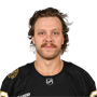 David Pastrnak