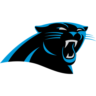 Carolina Panthers defeat New Orleans Saints  Panther nation, Carolina  panthers, Panthers