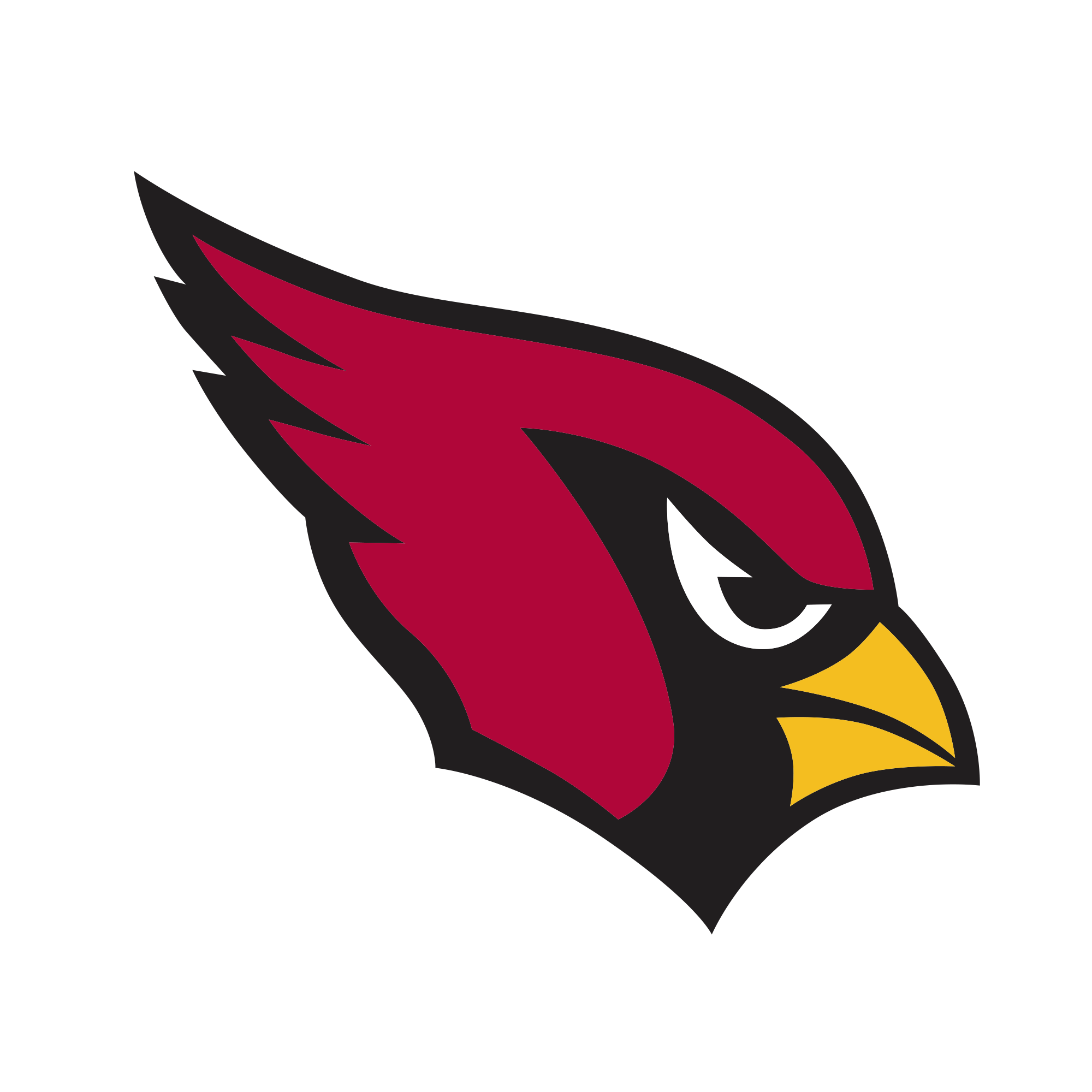 Arizona Cardinals Owner Bidwill Accused of Workplace Misconduct