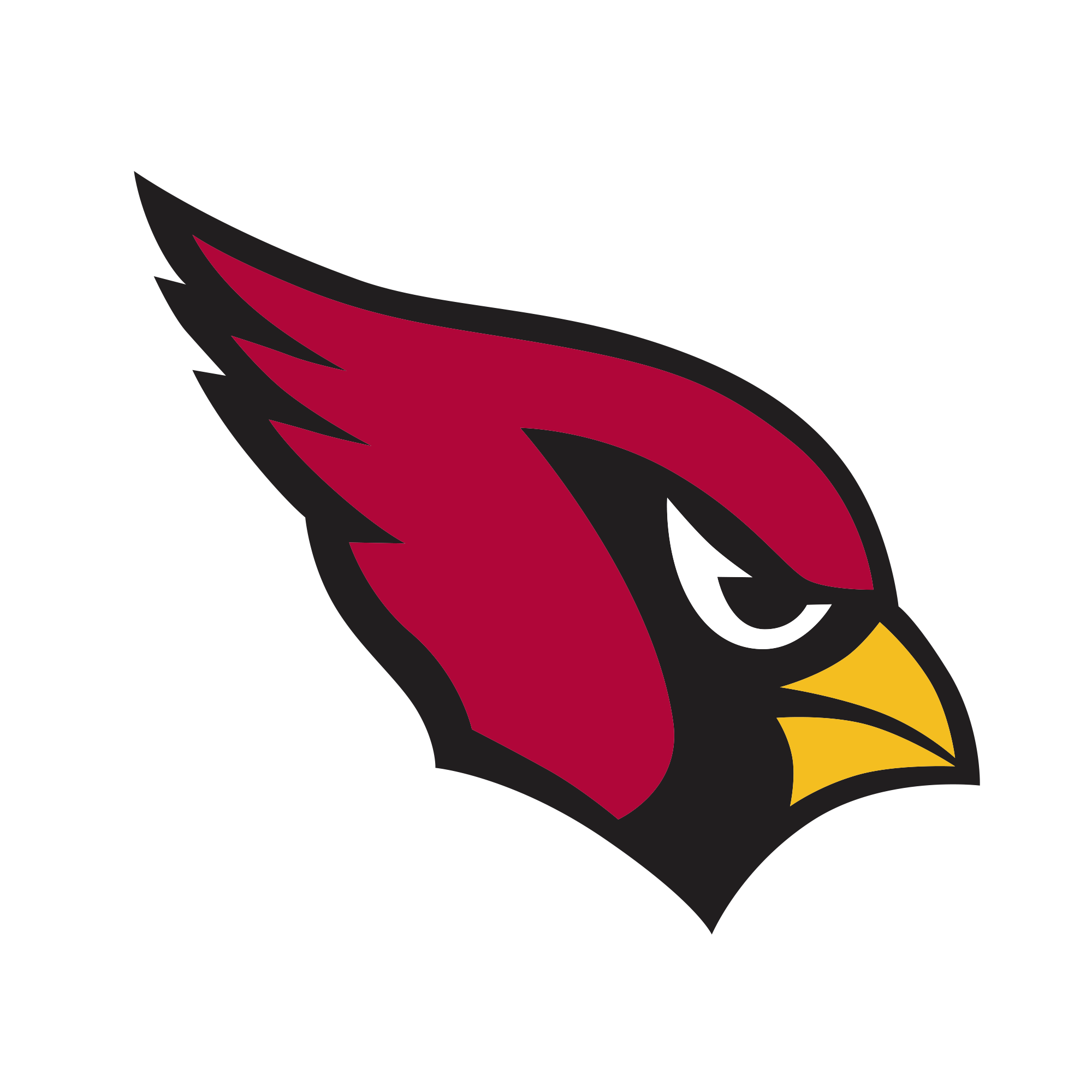 Monti Ossenfort Introduced as General Manager of Arizona Cardinals -  University of Minnesota Morris Athletics