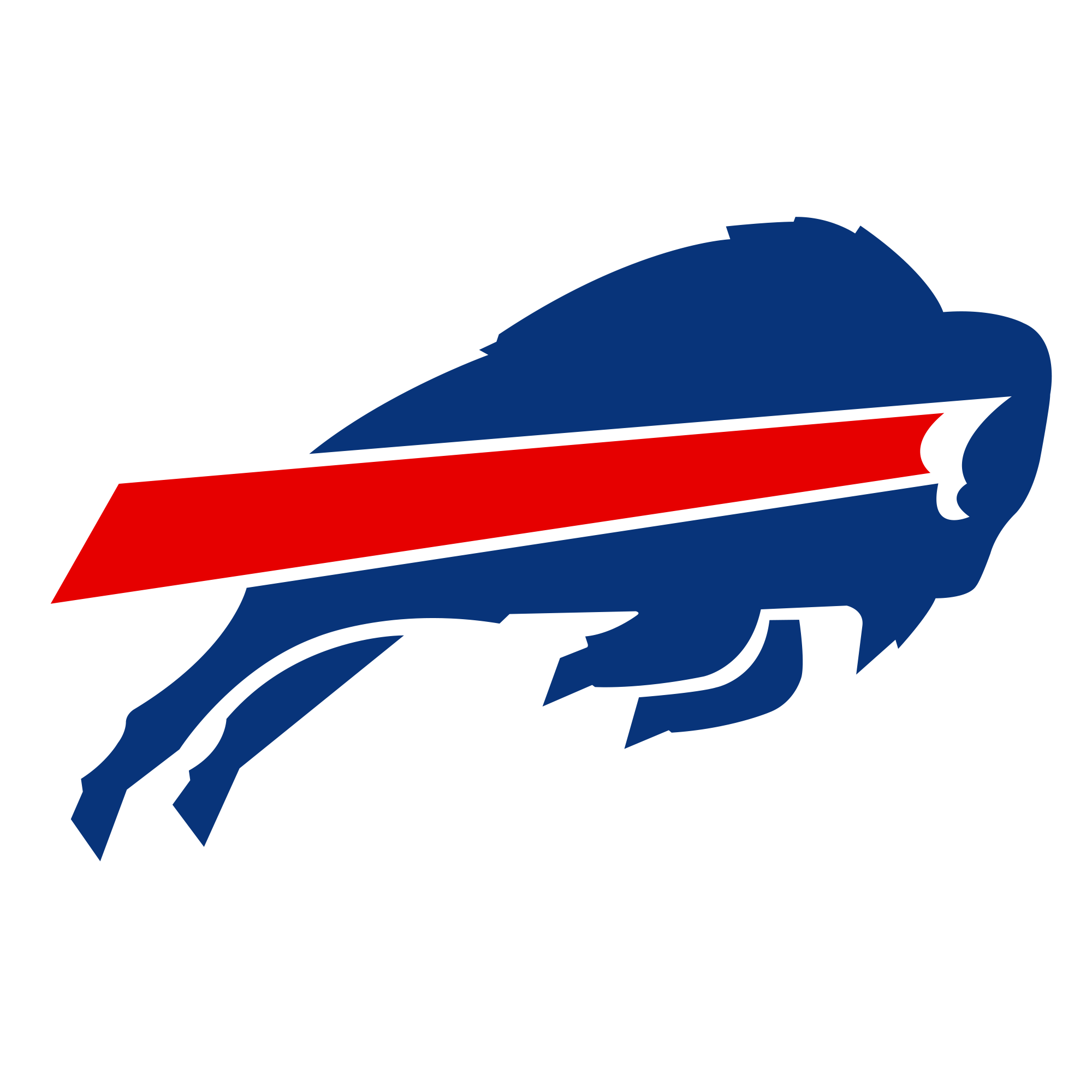 Buffalo Bills Team Page