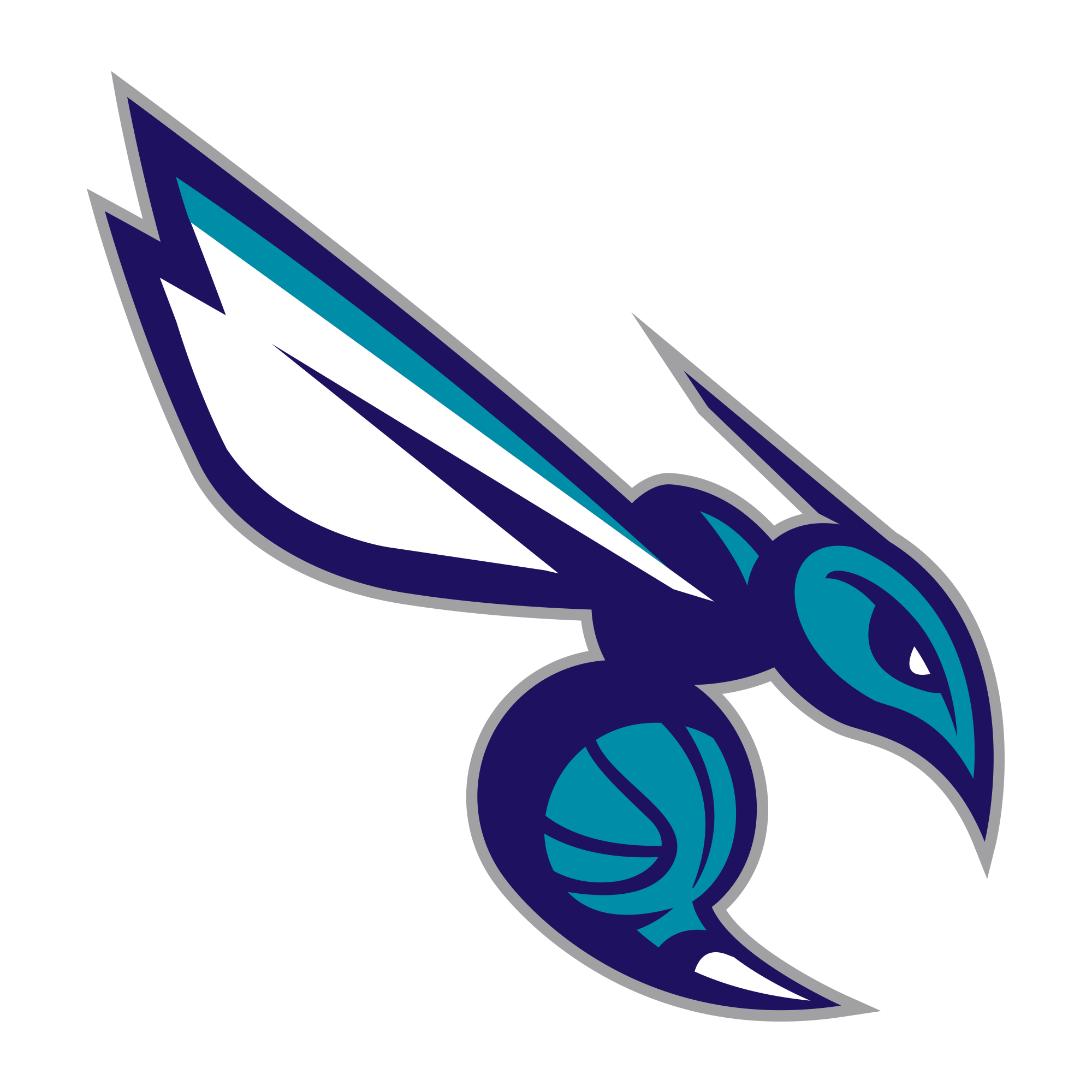 Charlotte Hornets Team Page