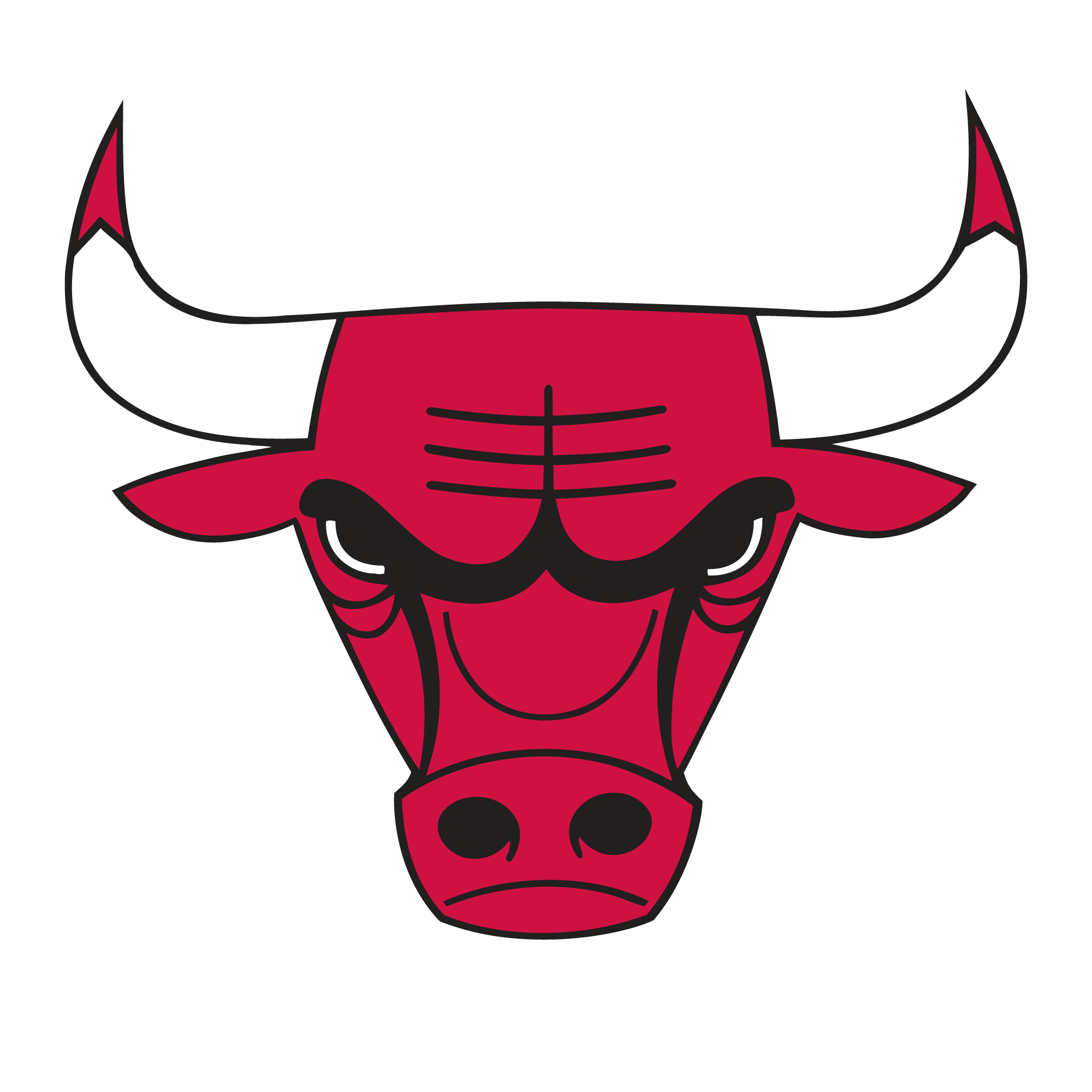 Chicago Bulls lose to Houston Rockets 127-117