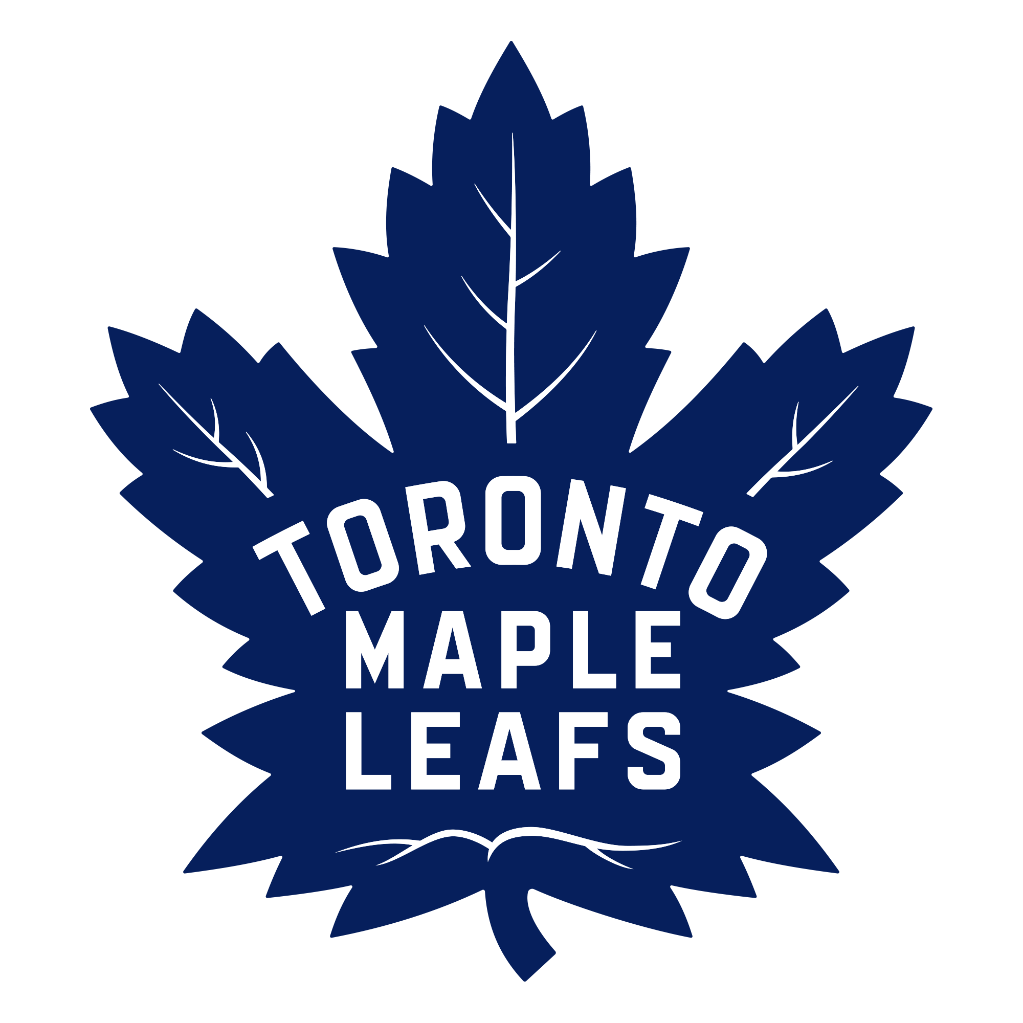 This documentary perfectly describes the agony of being a Maple Leafs fan
